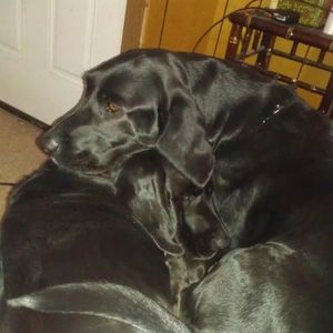 Meet your Posher, Lori